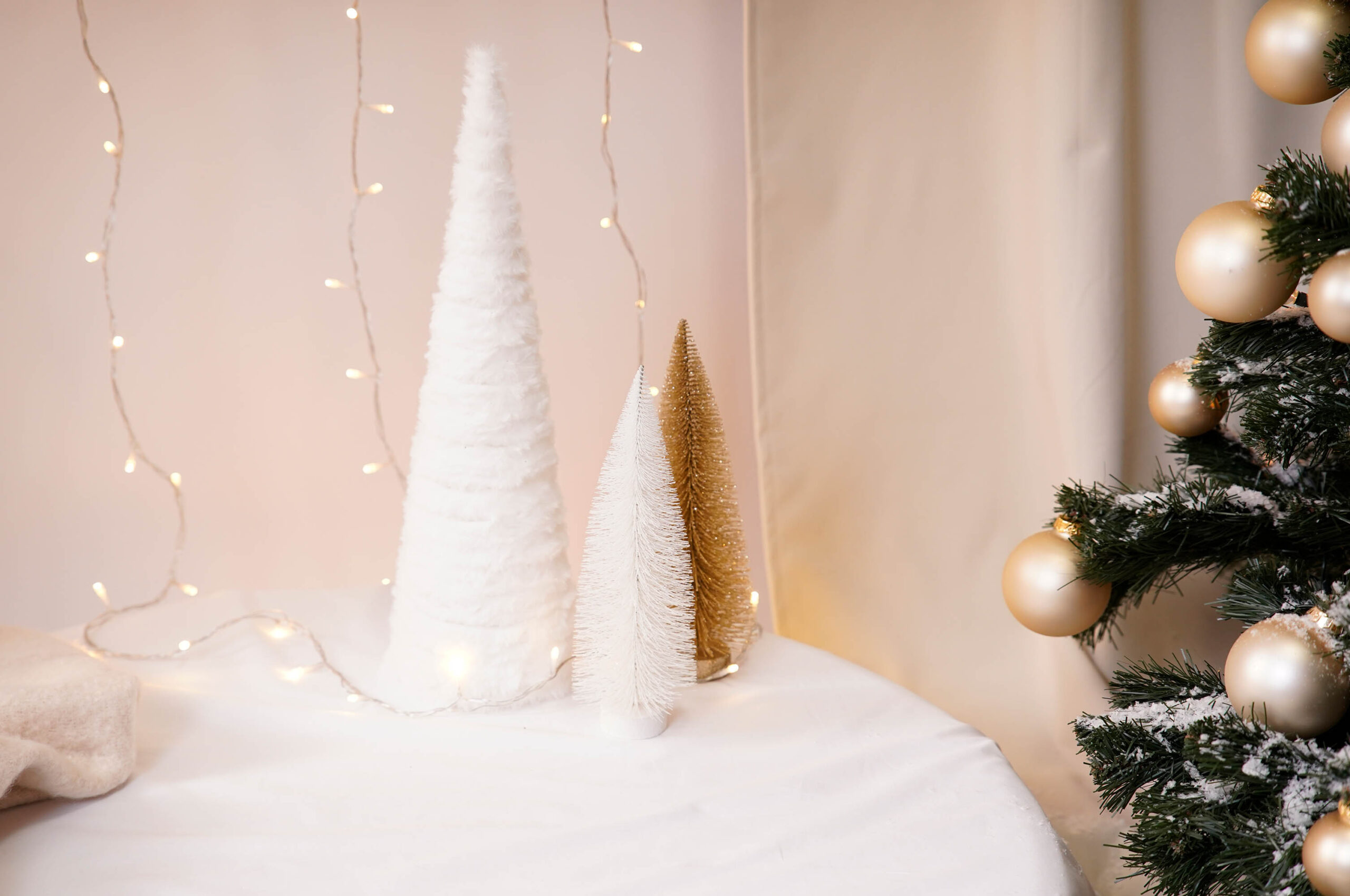 Karácsonyi fotózás_0000_Generative Fill 2_0001__DSC5647