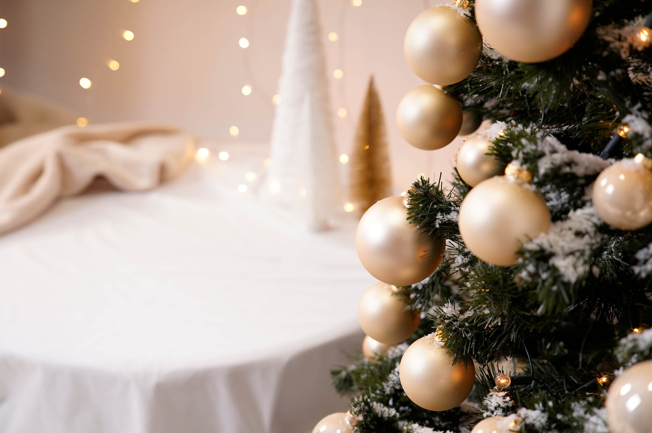 Karácsonyi fotózás_0000_Generative Fill 2_0004__DSC5630